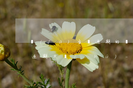 發(fā)生過逾期的賬戶數(shù)和逾期次數(shù)-發(fā)生過逾期的賬戶數(shù)和逾期次數(shù)的區(qū)別