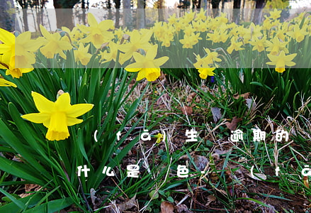 發(fā)生過逾期的賬戶數(shù)為什么是紅色-發(fā)生過逾期的賬戶數(shù)是紅色的