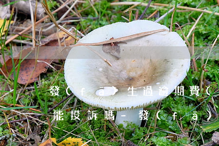 發(fā)生過逾期費(fèi)用已交還能投訴嗎-發(fā)生過逾期費(fèi)用已交還能投訴嗎有用嗎