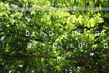 發(fā)生醫(yī)患糾紛你如何處理，發(fā)生醫(yī)患糾紛你如何處理面試
