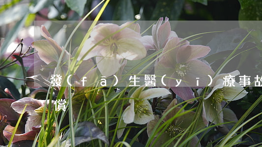 發(fā)生醫(yī)療事故后有哪些賠償