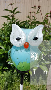 發(fā)生醫(yī)療糾紛患方應(yīng)該怎么做