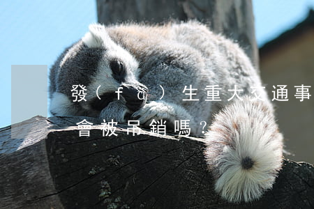 發(fā)生重大交通事故致人死亡，駕駛證會被吊銷嗎？