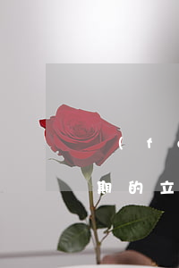 發(fā)短信信用卡逾期已立案（信用卡逾期的立案通知）