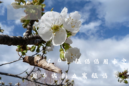 發(fā)短信信用卡逾期已立案起訴(欠信用卡收到立案短信)