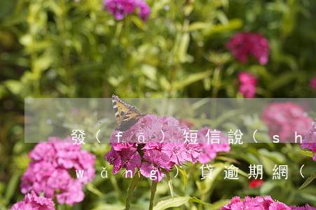 發(fā)短信說(shuō)19年網(wǎng)貸逾期(網(wǎng)貸嚴(yán)重逾期警告短信)