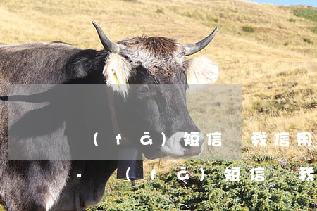 發(fā)短信說我信用卡逾期了什么情況-發(fā)短信說我信用卡逾期了什么情況啊