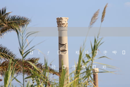 發(fā)短信軟件哪個好用(免費發(fā)短信軟件哪個好)
