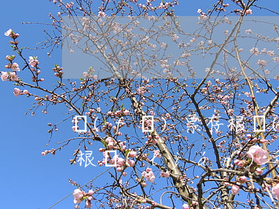 發(fā)票存根聯(lián)是什么(存根聯(lián)和發(fā)票聯(lián))