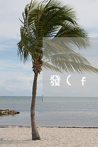 發(fā)票有什么用