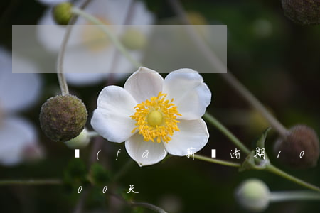 發(fā)薪貸逾期100天-貸款逾期100天