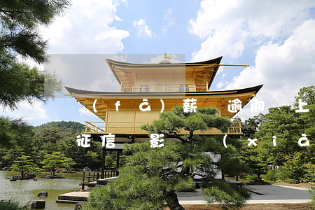 發(fā)薪貸逾期會上征信嗎 如果逾期上征信,會影響現(xiàn)在工作?