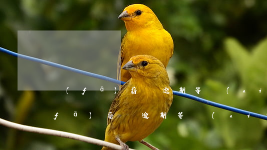 發(fā)薪貸逾期等協(xié)商(發(fā)薪貸逾期等協(xié)商)