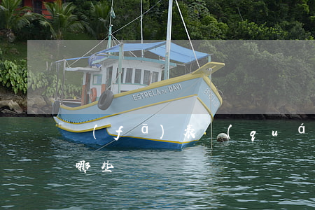 發(fā)表權(quán)的行使方式有哪些
