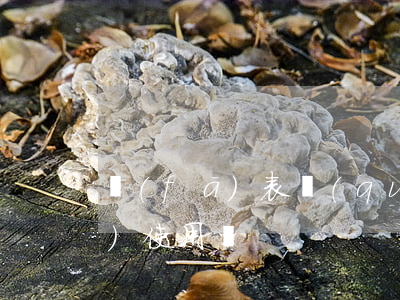 發(fā)表權(quán)能單獨(dú)使用嗎