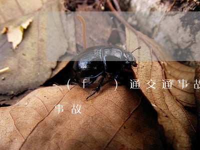 發(fā)通交通事故(發(fā)生的交通事故)