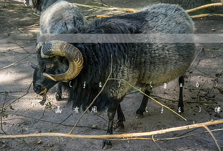 發(fā)過(guò)來(lái)律師函有用嗎(發(fā)律師函怎么發(fā))