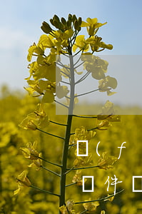 發(fā)郵件到法院可以起訴嗎(法院會用郵件發(fā)傳票嗎)