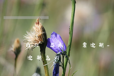 白云電器承兌匯票逾期-白云電器承兌匯票逾期怎么辦