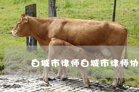 白城市律师(白城市律师协会会长)