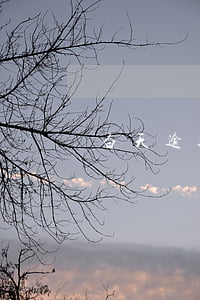 白天逾期一天最低还款(逾期还款1天)