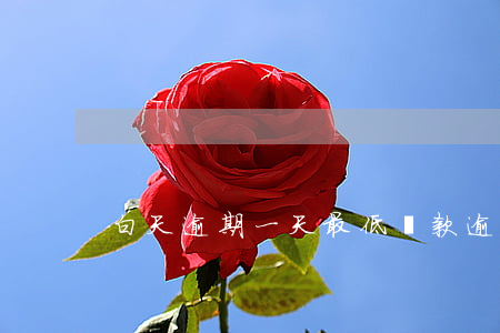 白天逾期一天最低還款(逾期還款1天)