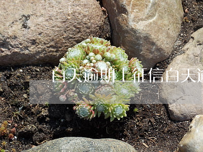 白天逾期上征信(白天逾期幾天會計入征信)