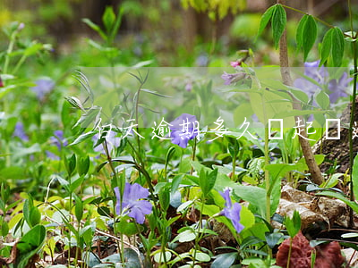 白天逾期多久會起訴(逾期多久會訴訟)