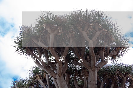 白天逾期會上門嗎(逾期到什么程度才會上門)