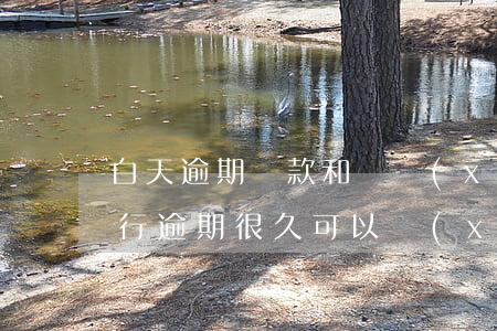 白天逾期還款和誰協(xié)商延遲呢(銀行逾期很久可以協(xié)商還款嗎)