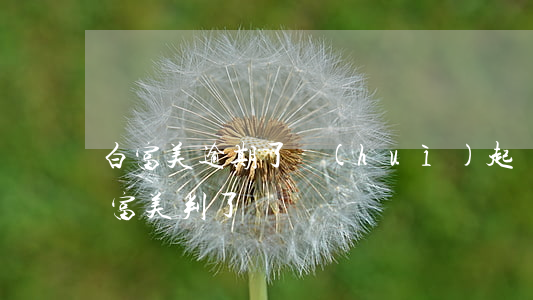 白富美逾期了會(huì)起訴嘛(26歲白富美判了)