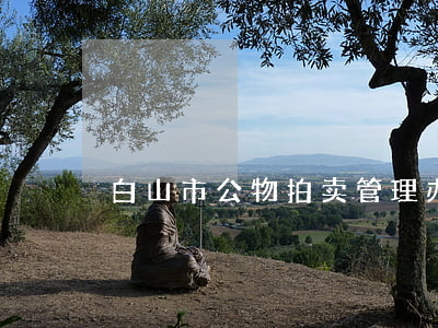 白山市公物拍卖管理办法