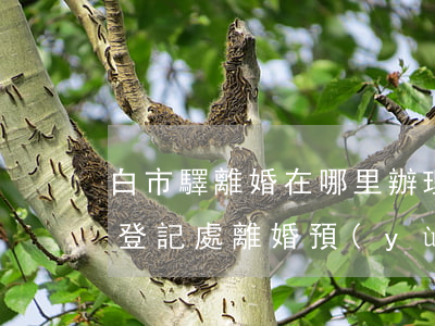 白市驛離婚在哪里辦理(白云區(qū)婚姻登記處離婚預(yù)約)