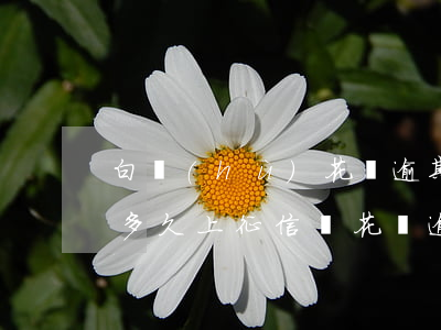 白戶(hù)花唄逾期多久上征信(花唄逾期多久上征信嗎?花唄逾期有什么后果)