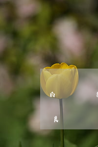 白戶貸款逾期上征信嗎(白戶為什么會征信不良)