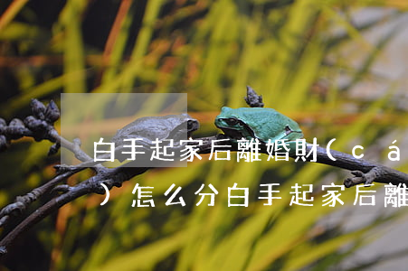 白手起家后離婚財(cái)產(chǎn)怎么分(白手起家后離婚財(cái)產(chǎn)怎么分)