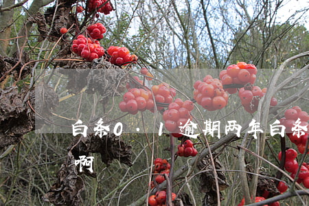 白条0.1逾期两年(白条逾期1年会怎么样啊)