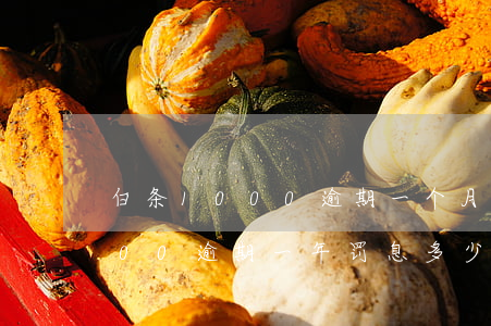 白条1000逾期一个月是多少钱（白条5000逾期一年罚息多少）