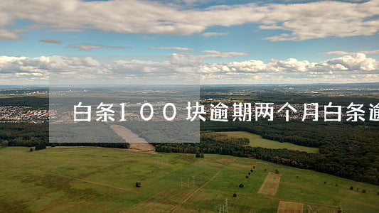 白条100块逾期两个月(白条逾期200元)
