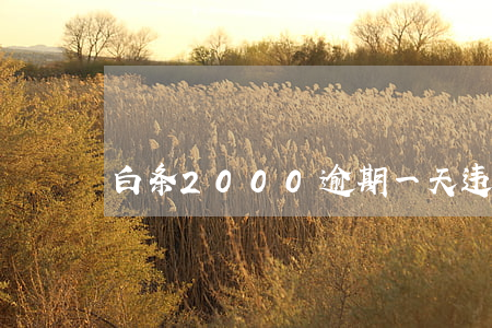 白条2000逾期一天违约金多少