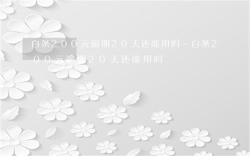 白条200元逾期20天还能用吗-白条200元逾期20天还能用吗