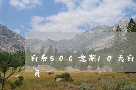 白条500逾期10天(白条500逾期一个月)