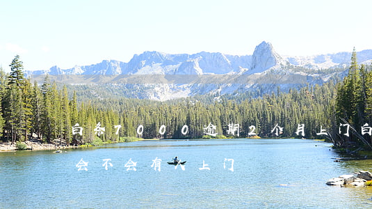 白条7000逾期2个月上门(白条逾期一年会不会有人上门)