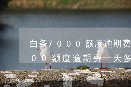 白条7000额度逾期费一天多少(白条7000额度逾期费一天多少)