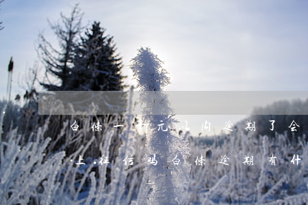 白条一千元以内逾期了会上征信吗(白条逾期上征信吗?白条逾期有什么后果)