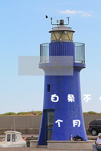 白条不小心逾期5天有事吗（信用白条逾期五个月）