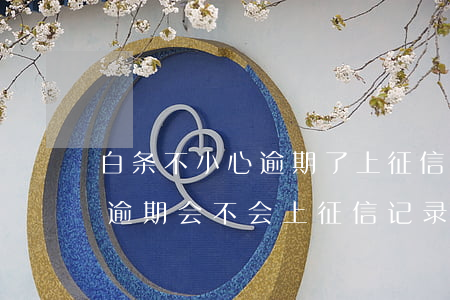 白条不小心逾期了上征信记录吗-白条没有逾期会不会上征信记录吗