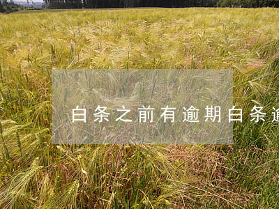 白条之前有逾期(白条逾期会咋样子)
