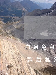 白条免息分期退货怎么处理(白条分期付款退款后怎么算的)