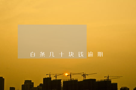 白条几十块钱逾期